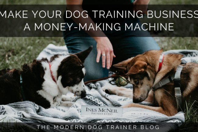 Scaling Your Dog Training Business: Proven Strategies for Growth