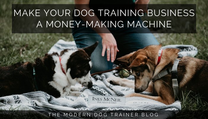 Scaling Your Dog Training Business: Proven Strategies for Growth