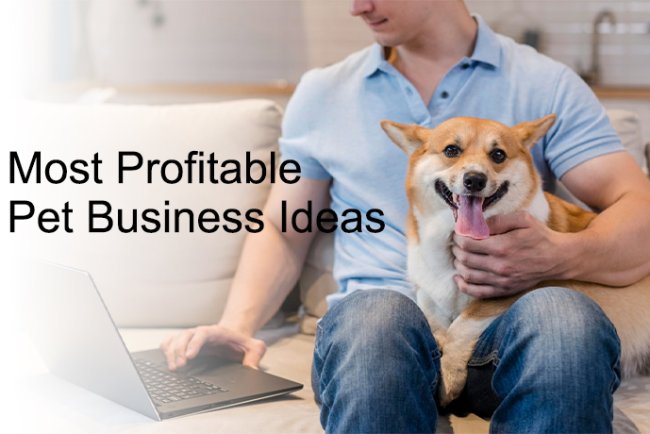 Smart Growth Strategies for Pet Business Owners: Boost Sales & Customer Engagement