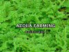 Azolla Farming from Scratch: A Complete Guide for Beginners to Pros