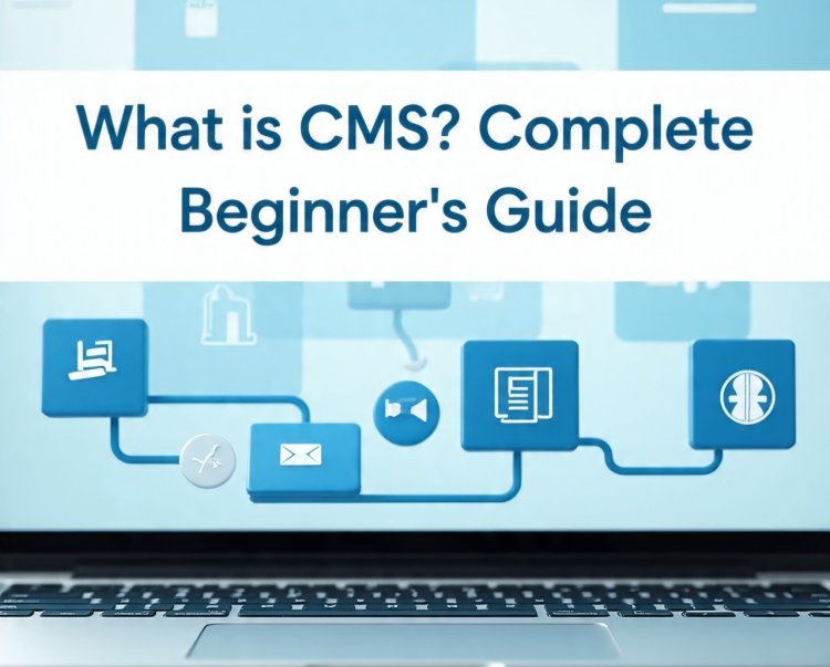 What is CMS (Content Management System)? – Overview