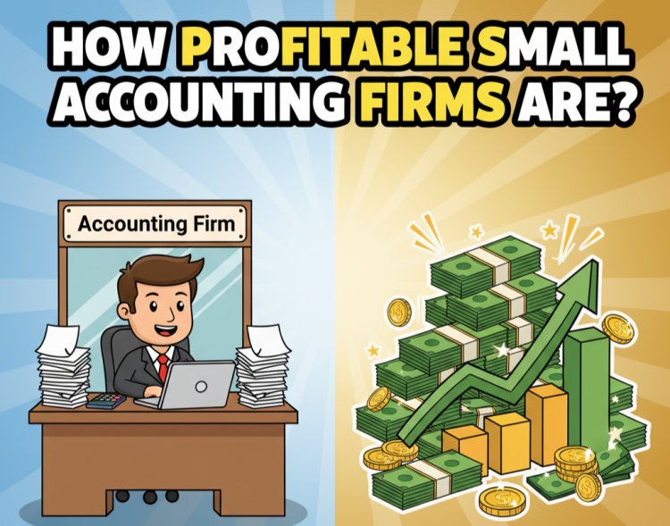 How Profitable Are Small Accounting Firms?
