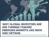Why Global Investors Are Turning Toward Emerging Markets Like India and Vietnam